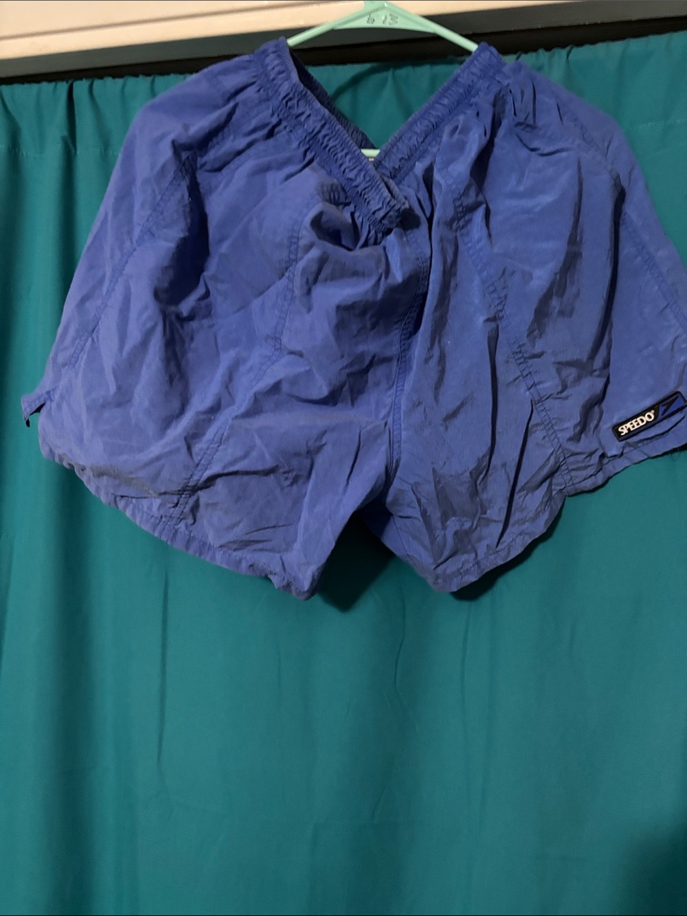 Speedo Women's Blue Athletic Swim Shorts